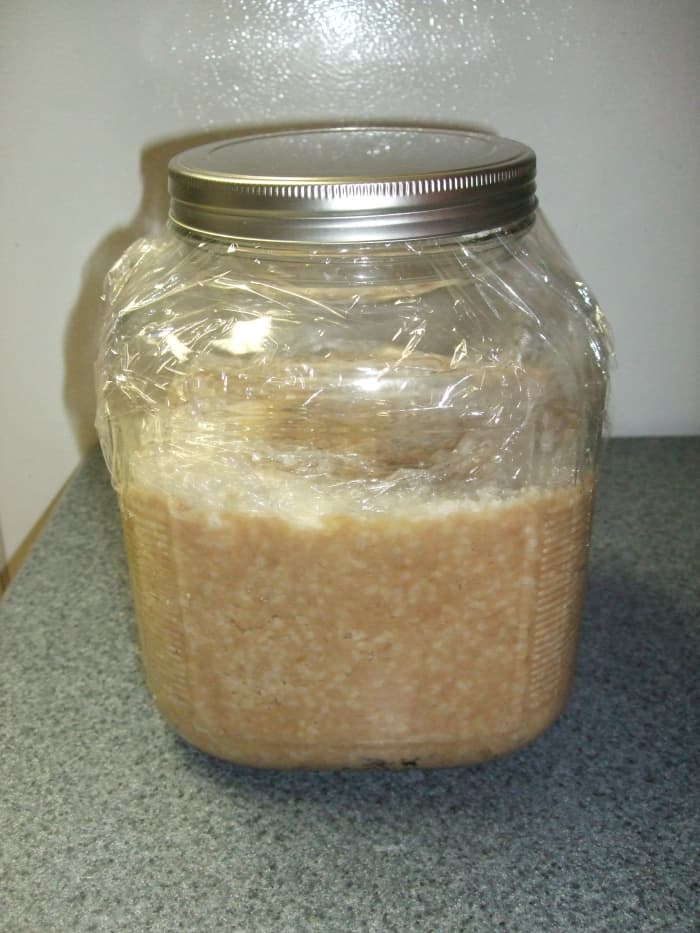 This container is too big for the amount. Less air space is better to avoid the mold.