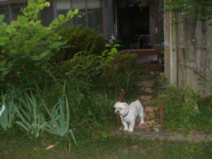 How To Live One Day At A Time