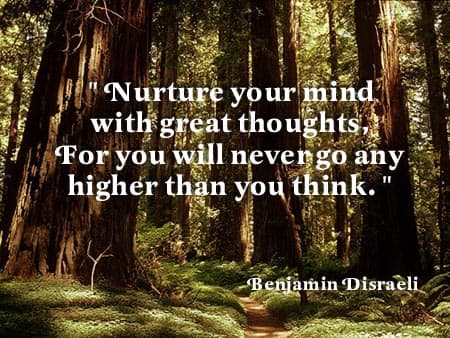 Nurture your mind with great thoughts for you will never go any higher than you think Benjamin Disraeli