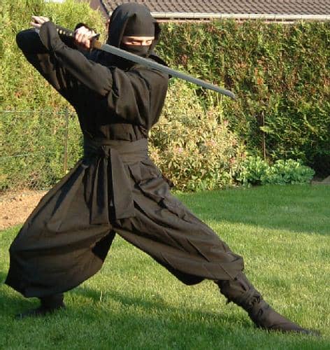 Ninjutsu, Japanese Martial Art of Ninja Espionage - HubPages