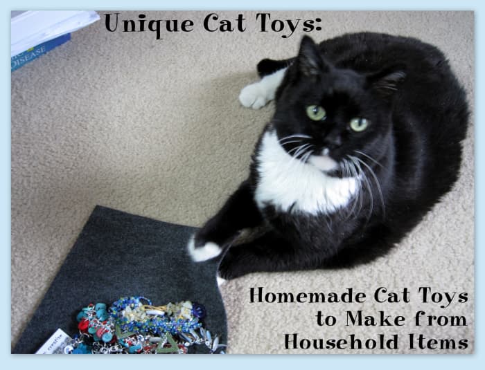 No matter how many cat toys you have, cats would always rather play with forbidden household items.