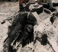 Giants were found all over the earth. Giants were the offspring of fallen angels and human women and are also known as the Nephilim.