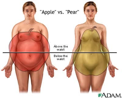 Where you store your fat will determine your bodily shape - and the dangers the fat imposes to your health.