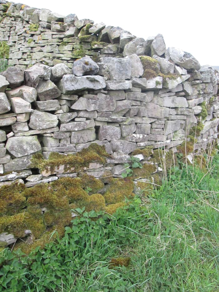 Cornerstones of a field boundary high above Swaledale - a complex grid of un-cemented stonework for which the Dales are renowned. Many areas of Yorkshire have their own styles, as do other parts of Britain
