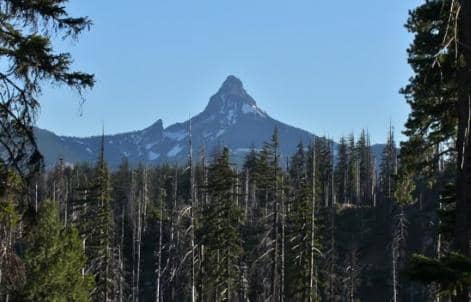 Mt Washington is weathered and holds snow much of the year. Trees do not grow on the peak. Black Butte is covered with trees to the top, and shows no sign of erosion. Both peaks are visible from the highway east of Santiam Pass in Oregon.