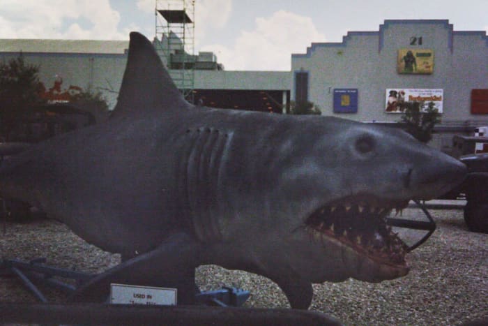 Also not Bruce. This is the full scale shark from the notorious stinker JAWS: The Revenge, the fourth and final of the JAWS films. He lived on the Universal Studios Florida backlot for years, but was eventually carted off to a landfill. Poor guy.