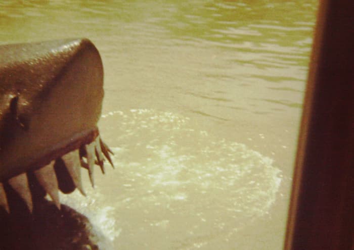 I tried to take a picture of the original "carrot tooth" shark on the Universal Tour back in 1977. I only got the tip of his nose, and a few of those goofy floppy teeth.