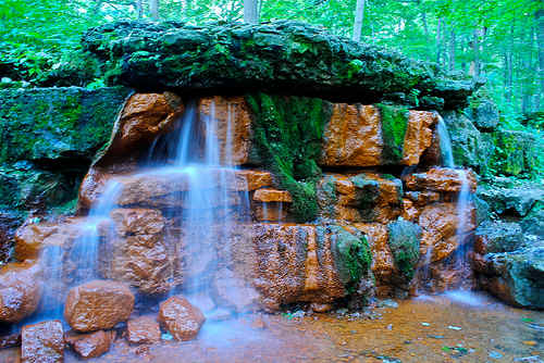 Glen Helen Nature Preserve is home to Yellow Springs, Ohio. The preserve houses a raptor center and arts, herbal, and other classes for credit at Antioch College next door.