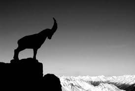 Capricorn is a cardinal earth sign.Capricorns are GREAT at initiating things & being in charge.They are also extremely realistic people. To them, everything must have a practical purpose & produce tangible results.