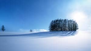 Capricorn represents winter, more accurately the winter solstice. The period of late December has the shortest days & the longest nights. Nature during this time is quite cold, stark, and austere.