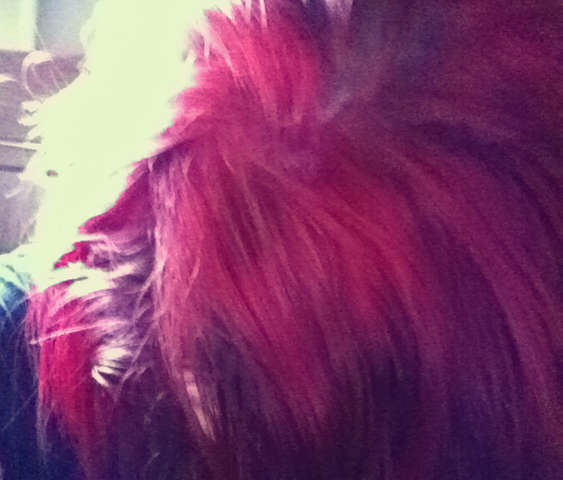 This is my head of hair, that I got with the product. It is more of a candy apple red hair in person. It is beautiful and I just love it!