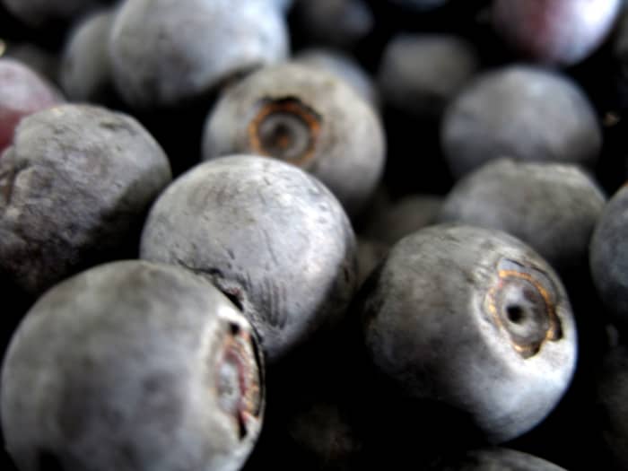 Fresh blueberries are the perfect way to celebrate National Blueberry Month.