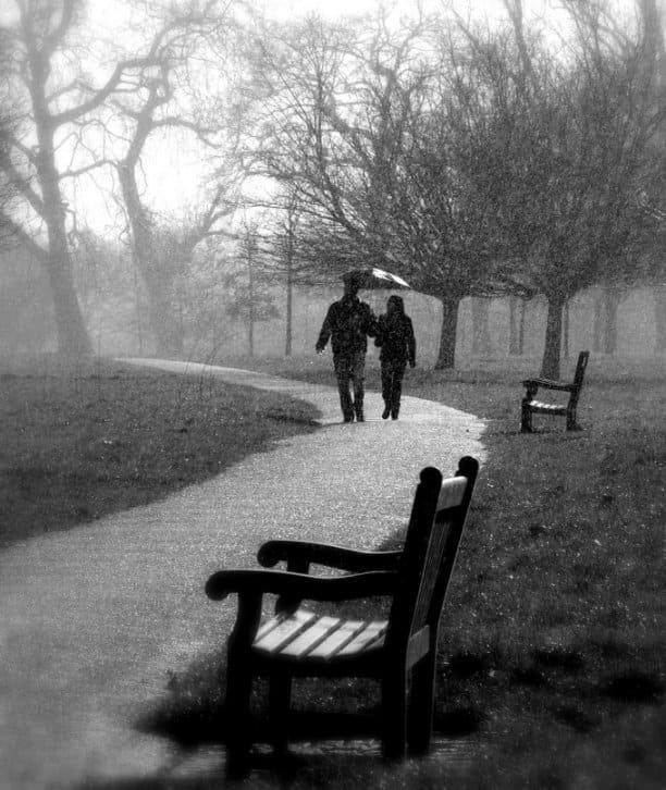 Building trust is a long and treacherous road to walk on. But once you do, life will seem more beautiful than ever. All you need to do right now is weather the storm till you see the silver lining.