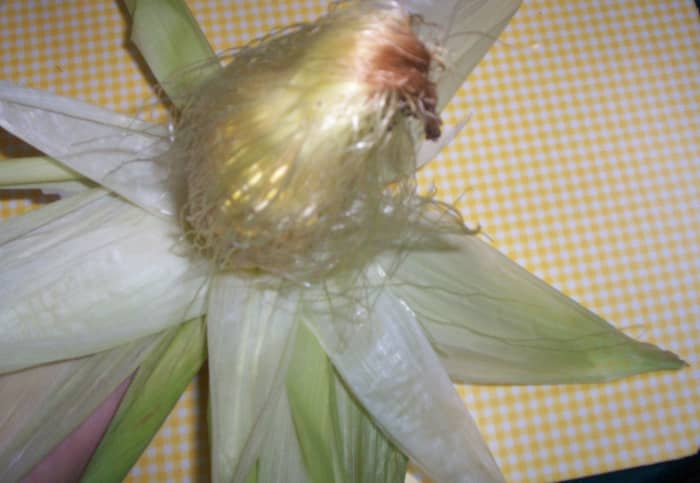 Just the feel and beauty of the silk lets you know it must have some benefit!