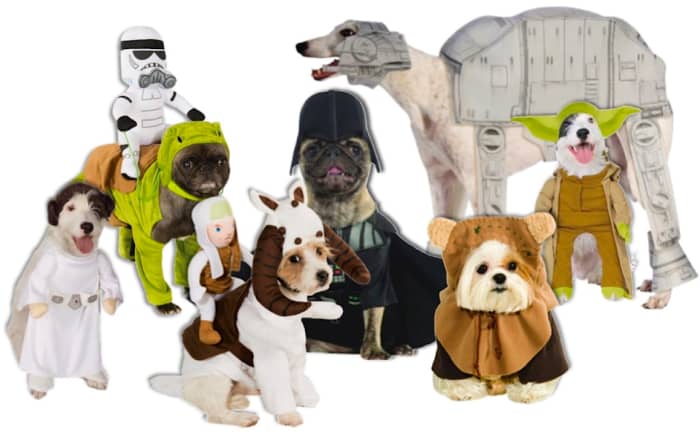 Canine Cast of Star Wars From left to right: Princess Leia, Dewback Dog, Tauntaun, Bantha (not shown), Dog Vader, AT-AT Walker, Ewok, and Yoda. All available at