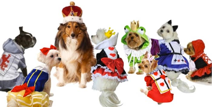Left to Right: Zack & Zoey Knight Costume, Snow White, His Majesty the King, The Queen of Hearts, The Frog Prince, The White Rabbit and Alice in Wonderland, and Little Red Riding Hood. Details and Buy Now Link Below.