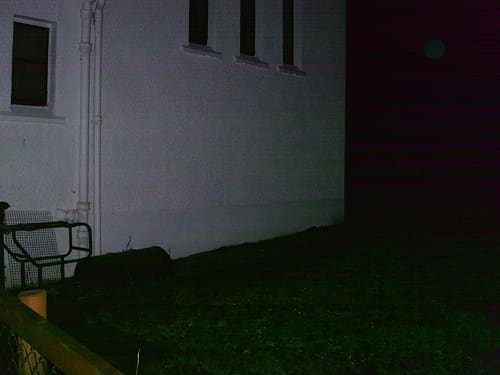 Same area, no mist. There is what could be an insect in the upper right hand corner which may be mistaken for an orb.