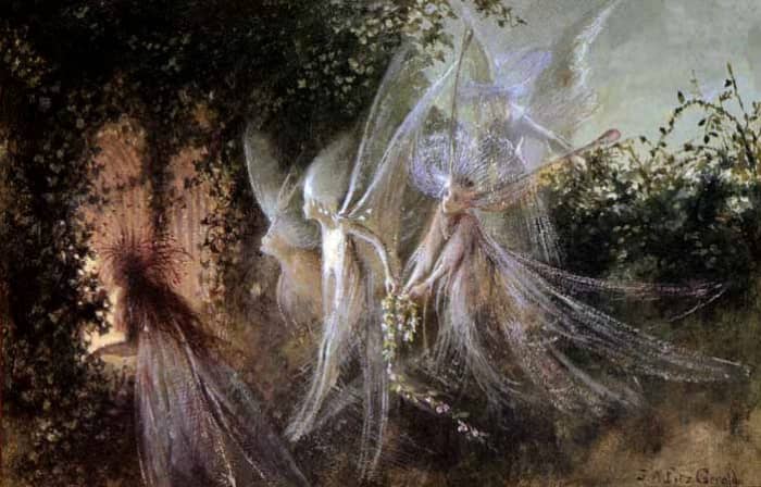 The Tooth Fairy has long captured our children's hearts and imaginations...yet expects us to collect their teeth!
