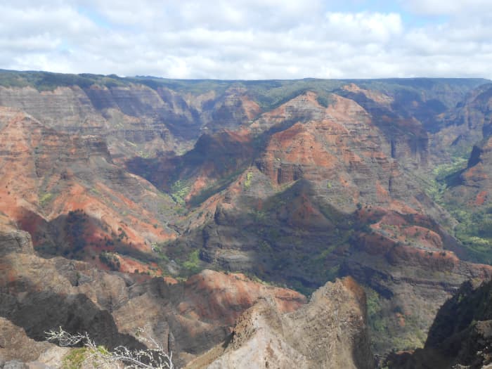 Just one more picture of Waimea Canyon because it's too beautiful not to include twice!