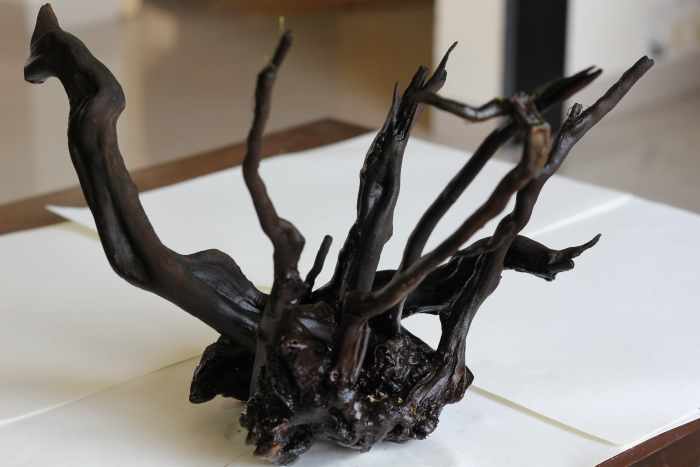 The chosen driftwood. Note the base with plenty of grooves where one can place the anubias.