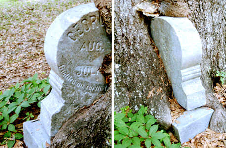 Sometimes you can only record the information you can see and make note of why additional information is not obtainable.The cemetery office may be able to provide you with the additional details for missing information. Notate accordingly.