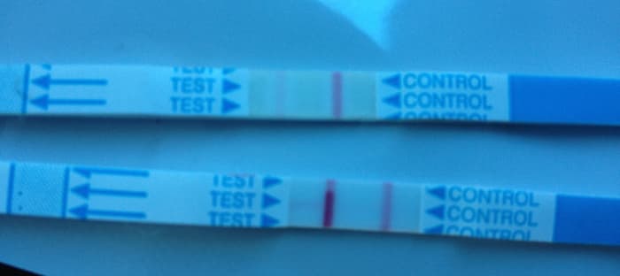 Hook effect demonstrated on HPTs. The 1st test is taken with undiluted urine, and the 2nd test is taken with urine diluted by 50% or more.