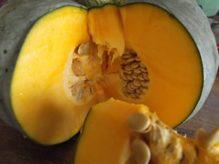One of my Queensland Blue pumpkins - so fresh it snapped while I was cutting into it! Lots of seeds for next season's planting.
