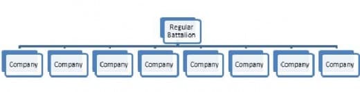 An example of the structure of a U.S. Regular Battalion composed of 8 Companies as per the new U.S. Regular Regiment organization.