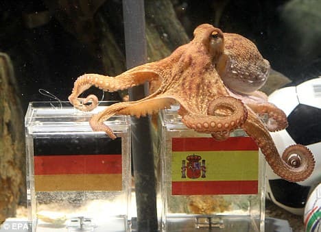 Far from being scientific Paul the psychic octopus is asked to predict soccer matches in Europe. (Seriously.)