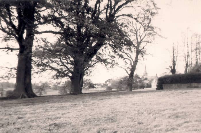 From the south, over the fields towards St Lawrence Church, Hurstpierpoint (taken on Box Brownie)