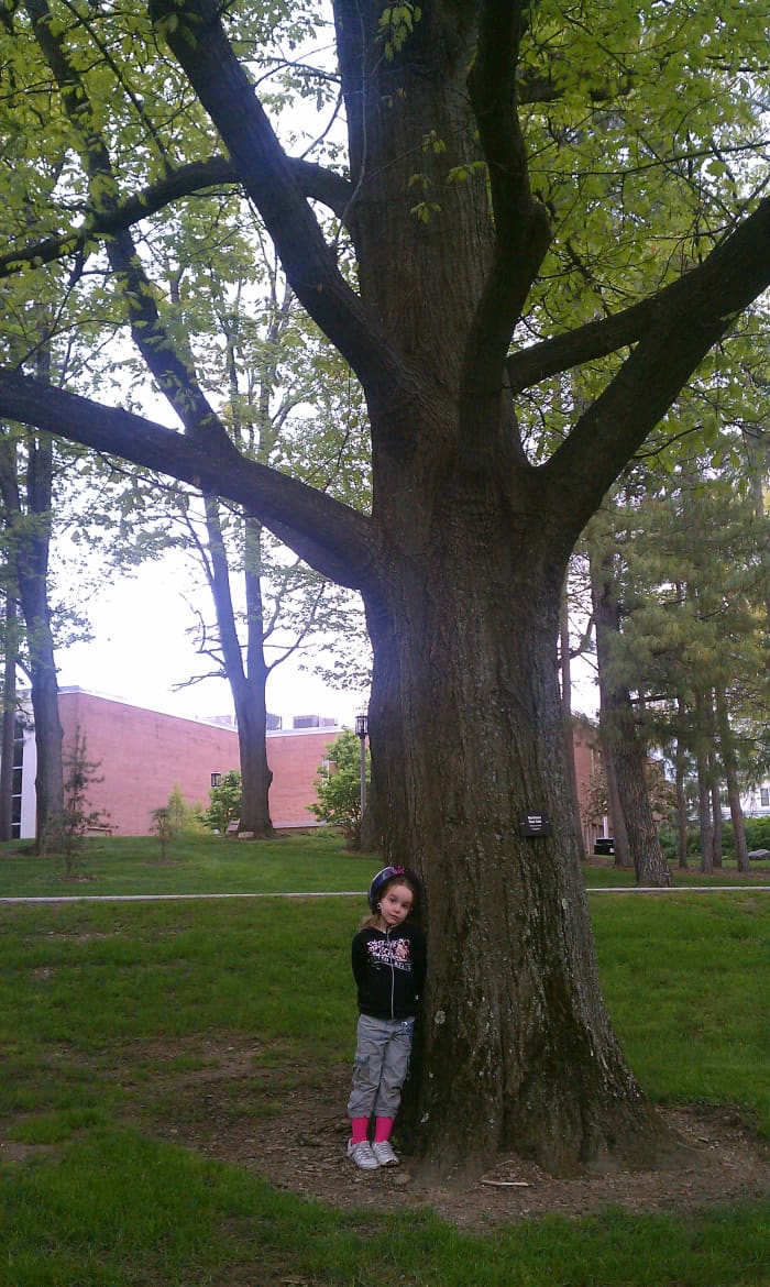 My daughter befriending a Northern Red Oak. Her last name is "Bush", and my last name translates to "small oak". She's basically an acorn.