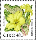 Irish postal stamp with Eire - the original name for the Ireland which evolved from Old Irish Eriu.