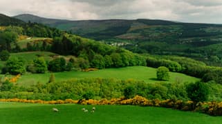 Irish landscape. It is said in Ireland that the Irish landscape exhibits 40 different shades of green.