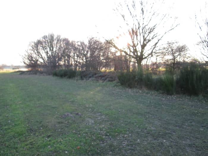 Close by in midwinter, bereft of foliage, this strip of woodland seen against the low afternoon sun separates two sets of football pitches