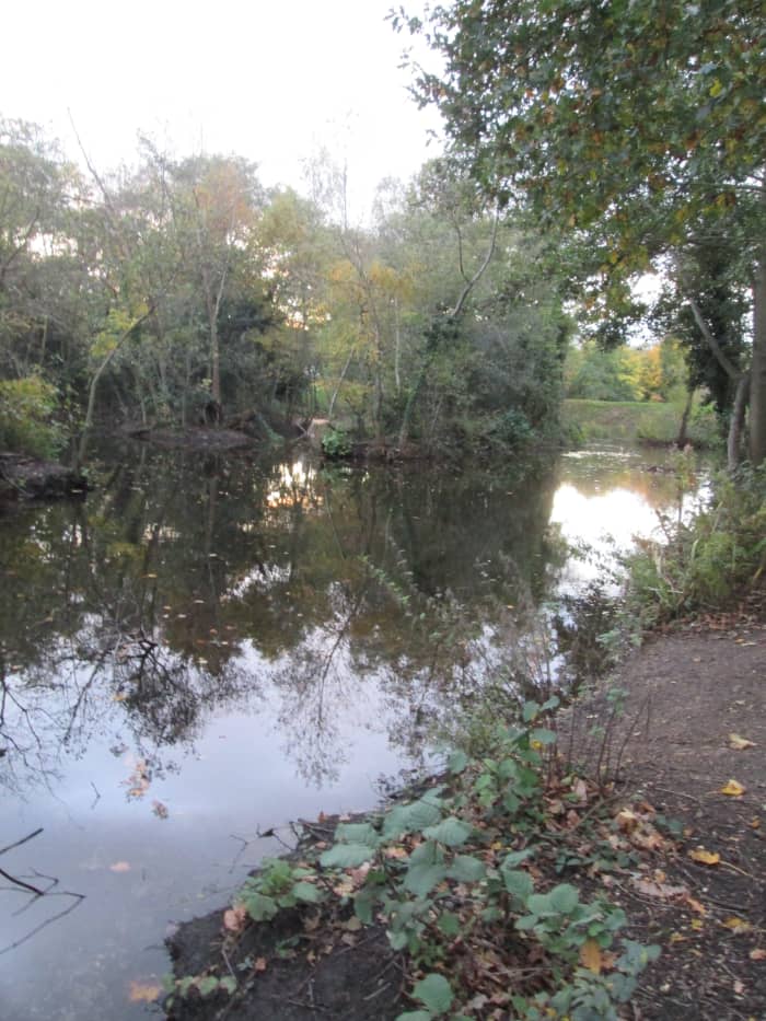 Since the islands on the Perch Pond were tidied up the landscape doesn't look so much like the Everglades