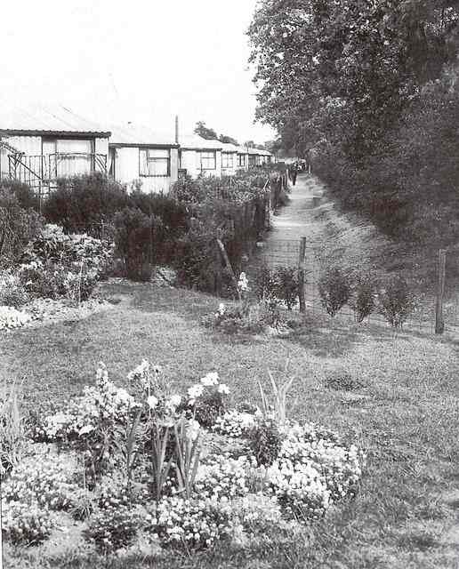 Prefabs along Capel road near the Golden Fleece p/h - after WWII housing was at a premium, temporary measures were needed and pre-fabricated housing as well as...