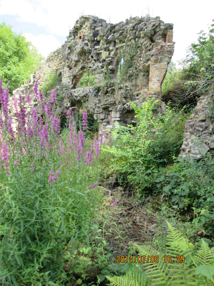 Another view of that grotto, this time from the front with more of the willow herb that flourishes on ruins and waste ground