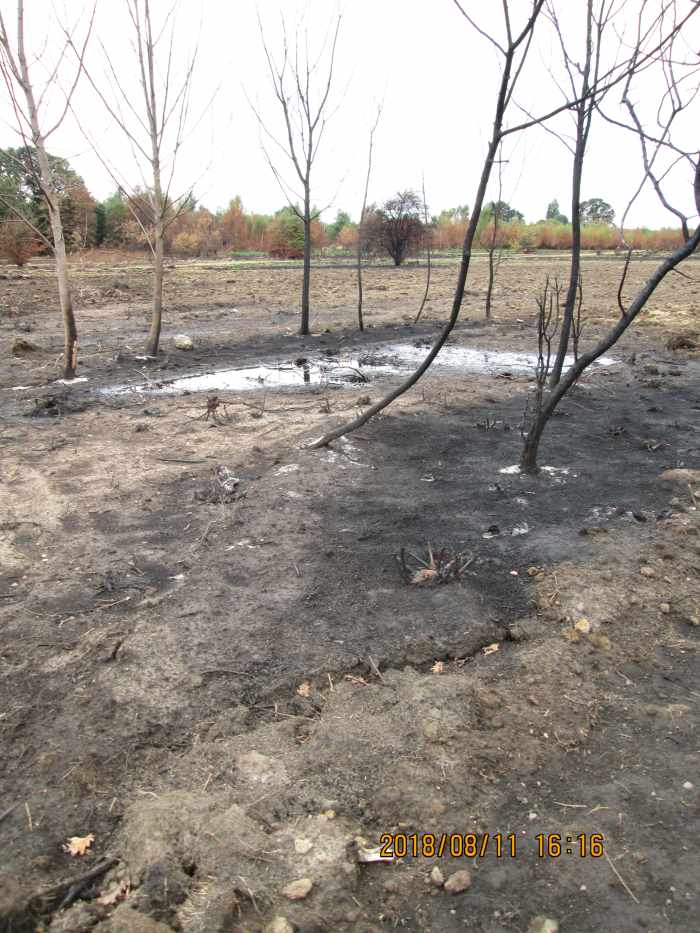By the end of July there were signs of recovery, although by and large the devastation was still obvious - tiny in comparison with fires that broke out in California around the same time, big enough in these parts.