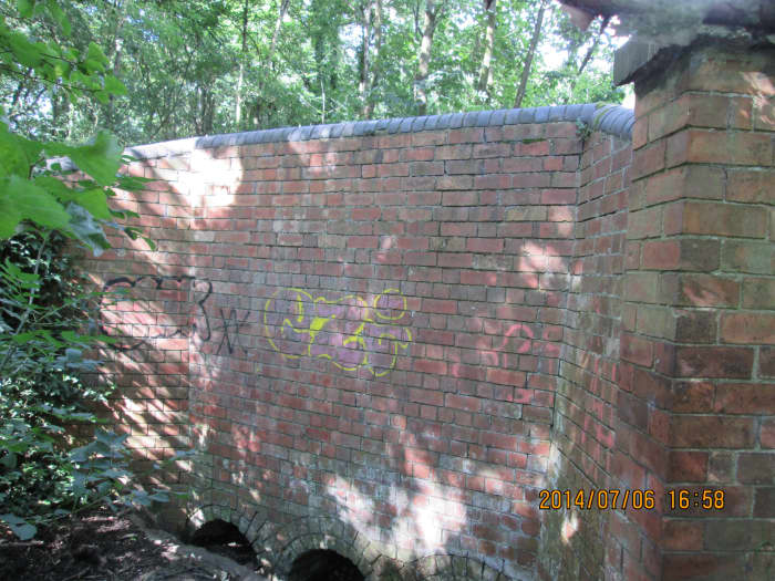 with a bit of physical dexterity I managed to get down from the bridge side to the 'jungle' for this shot of interesting graffiti - did they hang upside down from the parapet?