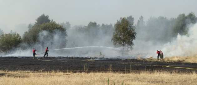The police having cordoned off the central area of Wanstead Flatts, firefighters were able to concentrate their efforts on controlling the blaze. Bus services were diverted away on two of the three converging roads