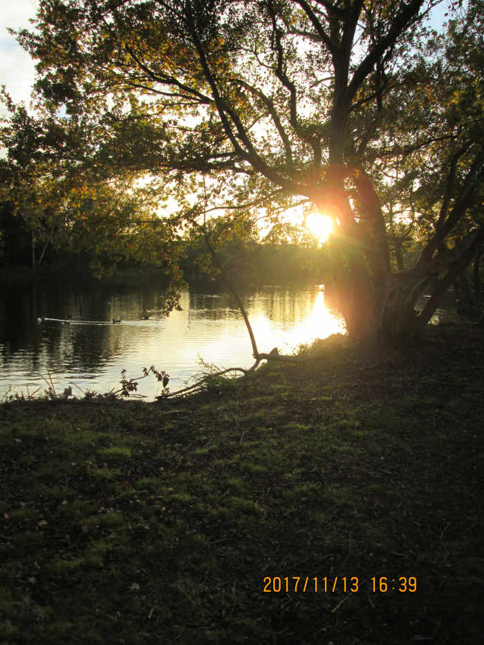A low sun, a few trees and a 'contra jour' (against the sun) shot near where the cycle path turns around the golf course
