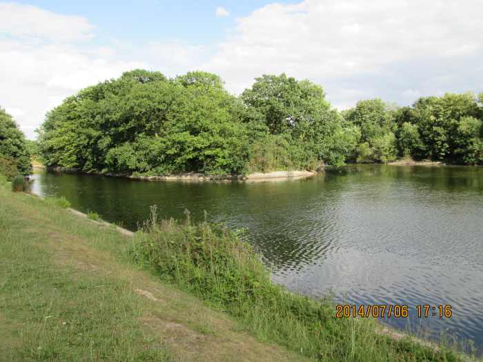 One of three eyots in the Heronry Pond provides sanctuary for swans, herons, moorhens and other birdlife