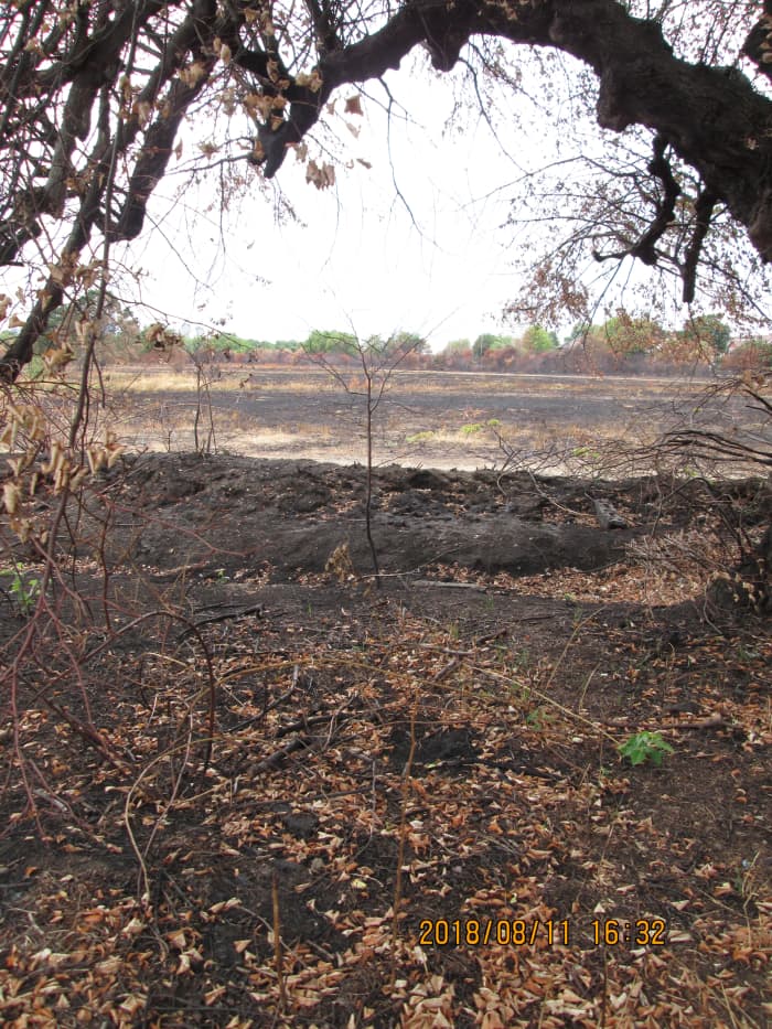 ... Along with this one. There were pools of brackish water, left from when the firemen turned off their hoses