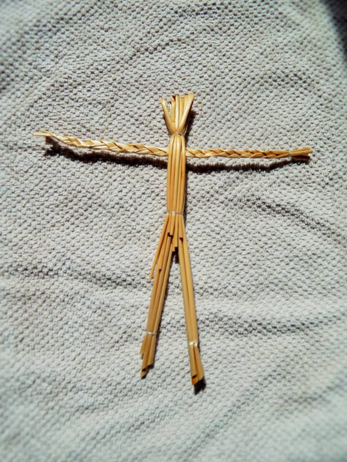 Fig. 5. To separate the legs of your Straw Man (gwr gwyllt), separate the straws & tie above each foot tightly.