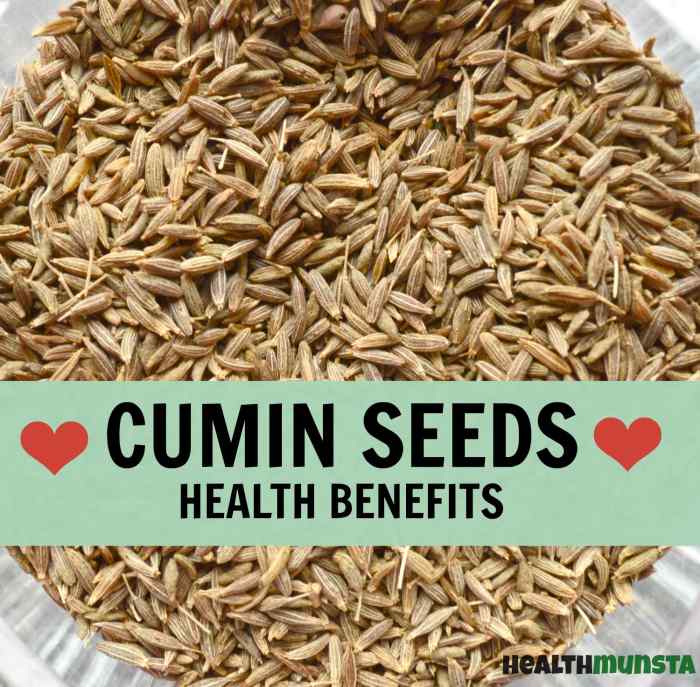 Cumin Seed Water & Its Benefits HubPages