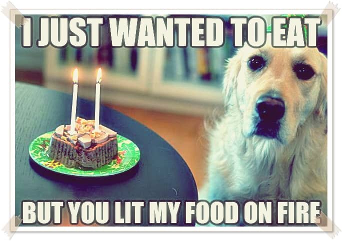 Happy Birthday Meme For Friends With Funny Poems - HubPages