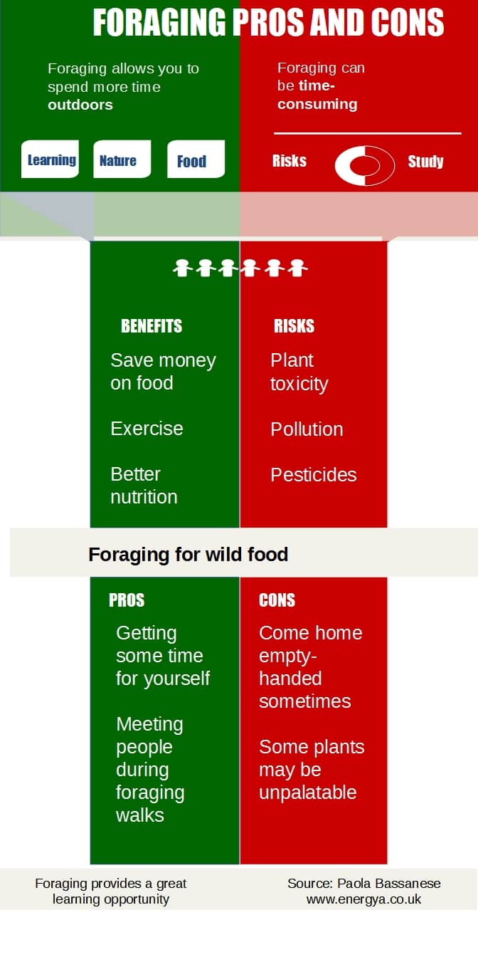 What Are the Pros and Cons of Food Foraging? A Learning Opportunity