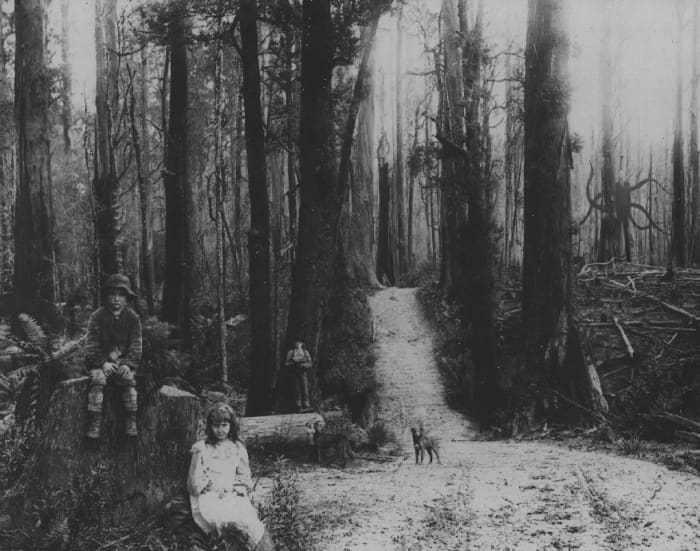 Slender Man, Real or Fake? - HubPages