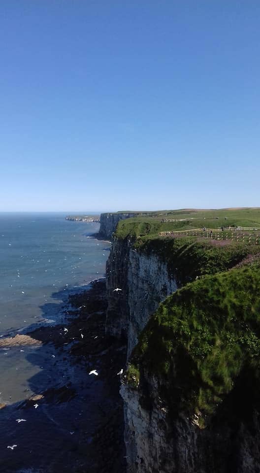 A picture taken of the cliffs looking towards Flamborough Head by yours truly back in May 2018.