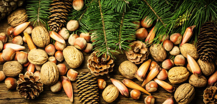 Popular Christmas Nuts - HubPages